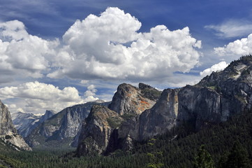 USA. Gigantic rocks and forests of Yosemite Park.