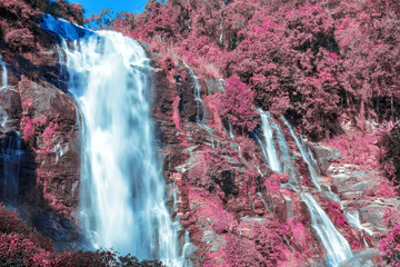 Plakaty  Wachirathan waterfall with pink tree.
