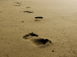 the footprints on the beach sand