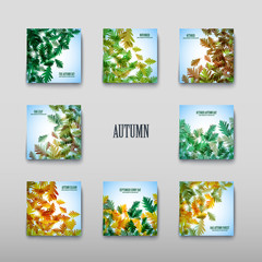 Illustration autumn motif. Oak leaves. Vector background