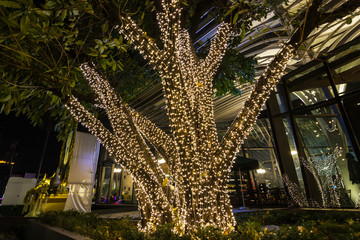 Obraz premium Decorative outdoor string lights hanging on tree in the garden at night time festivals season - decorative Christmas lights - happy new year 