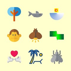 tropical vector icons set. trees, leaf, firefly and shark in this set