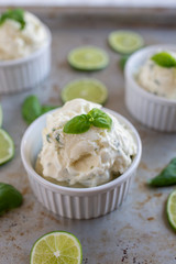 Zitronen Basilikum Eiscreme