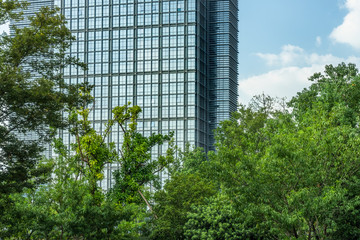 Plakat modern glass building with green trees