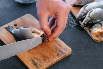 Man cuts gills of carp fish. Cooking fish. Hands close up.