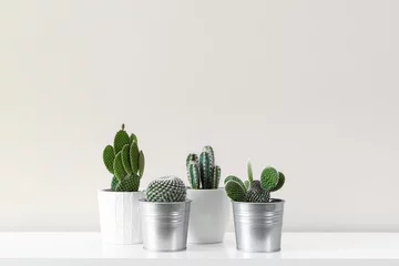 Zelfklevend Fotobehang Modern room decoration. Various cactus house plants in different pots against white wall. Cactus mania concept with copy space. © andreaobzerova