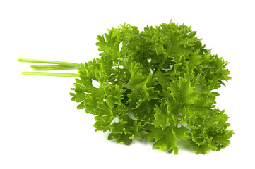 parsley isolated on a white background