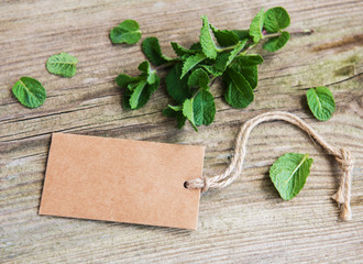 Green mint with old paper tag