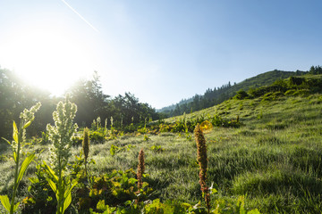 Obraz premium Beautiful sunset in mountains. Calm morning landscape.