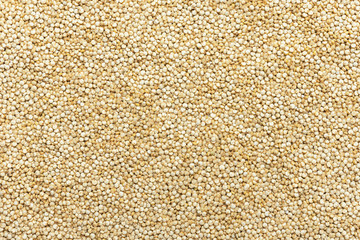 white quinoa seeds background texture