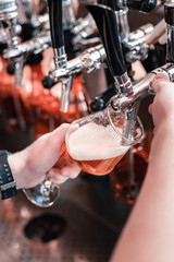 Filling glass. Top view of professional pleasant barman feeling glass with nice dark craft beer in the pub