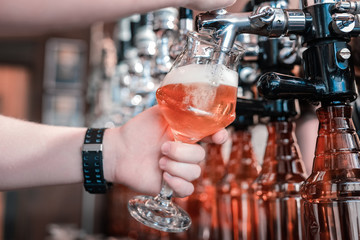 Barman with glass. Barman standing at the bar stand holding glass while filling it with craft dark beer