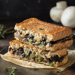Hot sandwich with mushrooms, cheese and green onions, delicious lunch, autumn food. Dark background