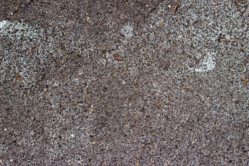Grey Asphalt with cracks