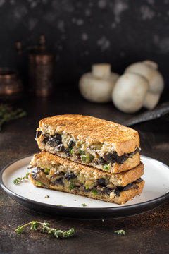 Hot sandwich with mushrooms, cheese and green onions, delicious lunch, autumn food. Dark background