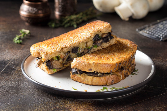 Hot sandwich with mushrooms, cheese and green onions, delicious lunch, autumn food. Dark background