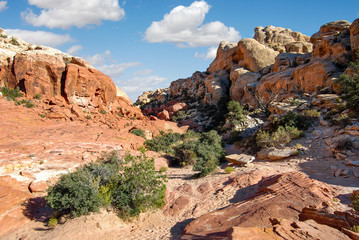 Fototapeta na wymiar red rock canyon hiking