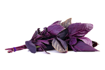 Bunch of purple basil