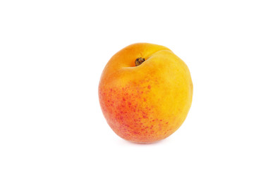 Ripe apricot