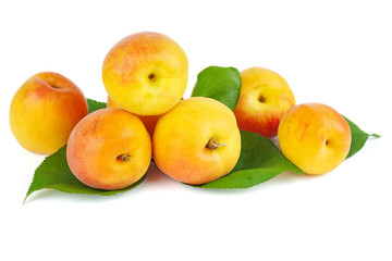 Ripe apricots