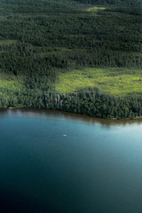 Aerial view of river and forest