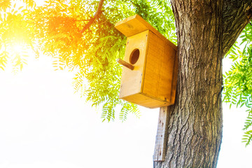 Yellow bird house on a tree. Spring. Nature. Sun rays.