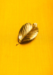 Obraz premium Autumn golden Leaf with copy space