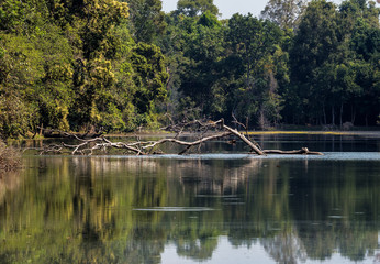 Kambodscha - Angkor - Preah Khan