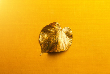 Autumn golden Leaf with copy space