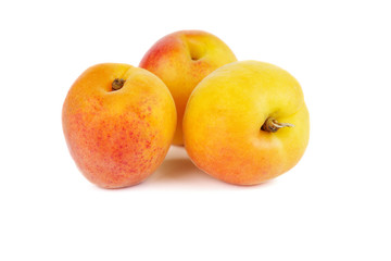 Ripe apricots
