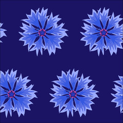 vector illustration, seamless pattern, blue cornflowers on blue  background, printable design, background for fabric, wallpaper, packaging