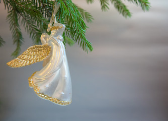 Christmas  trumpet angel toy on Christmas tree branch on white background