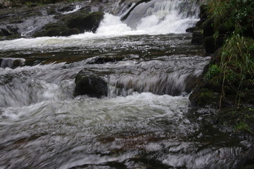 brecon forest waterfall woodland