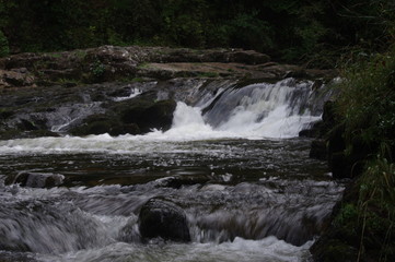 brecon forest waterfall woodland