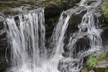 Fototapeta na wymiar brecon forest waterfall woodland