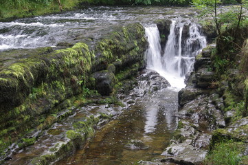 Fototapeta premium brecon forest waterfall woodland
