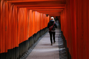 The red wood gate torii of fushimi inari shirne in Kyoto, Japan
