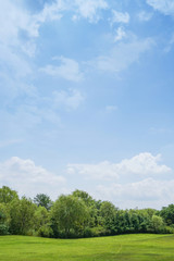 Green grass background