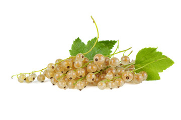 Cluster of white currant berries