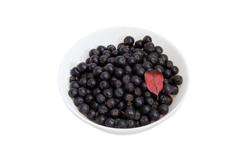 Black chokeberry in white bowl on a white background