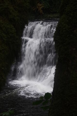 brecon beacons forest waterfalls