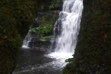 Fototapeta na wymiar brecon beacons forest waterfalls