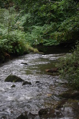 brecon beacons forest waterfalls