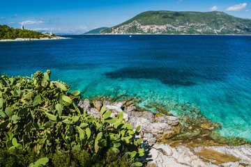 Group of cactus plants in front of crystal clear transparent blue turquoise teal Mediterranean sea. Fiskardo town, Kefalonia, Ionian islands, Greece