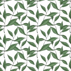 Pattern with green  leaves isolated on white background. 