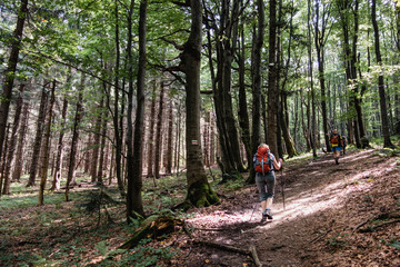 Obraz premium Tourist walking on the trail in mountains
