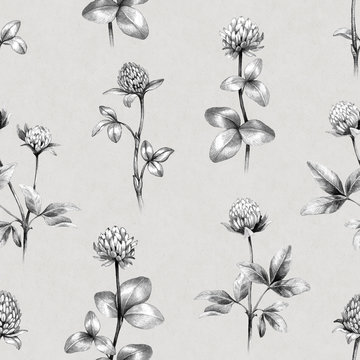 Drawings of clover flowers. Seamless pattern