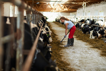 Young female worker of kettlefarm working with spade or hayfork by one of stables with cows