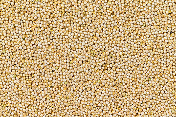 Macro image of quinoa grain top view background. Healthy super food pattern.