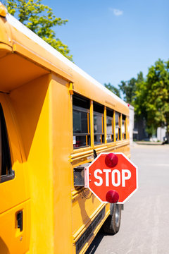 cropped shot of traditional school bus with stop sign